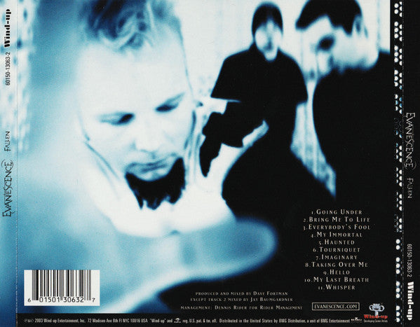 EVANESCENCE - Fallen CD