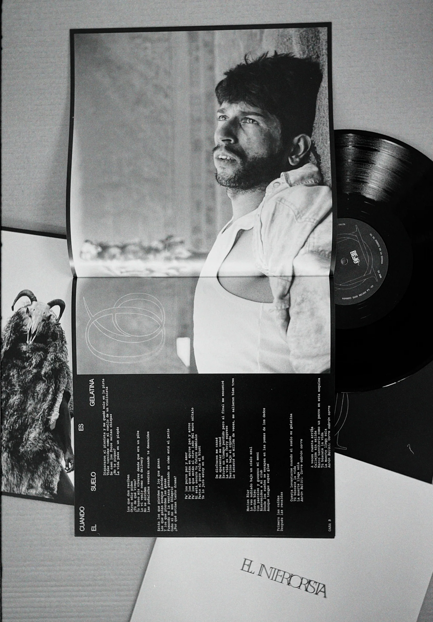 BEJO - El interiorista VINILO