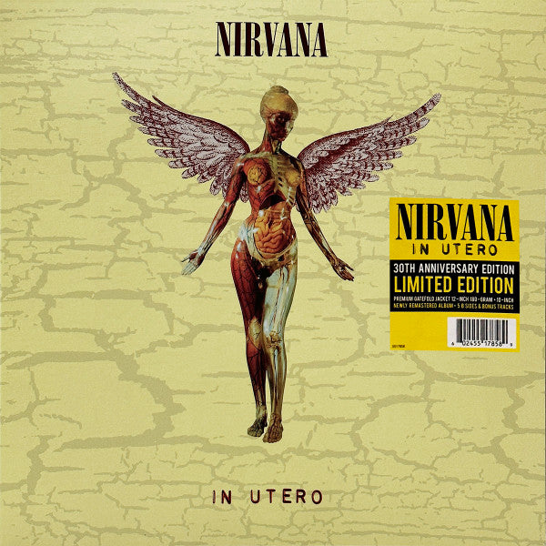 NIRVANA - In Utero (30th Anniversary) VINILO