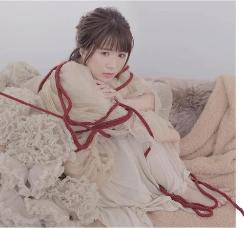 MAIKO FUJITA - Wasurerarenai Hito CD