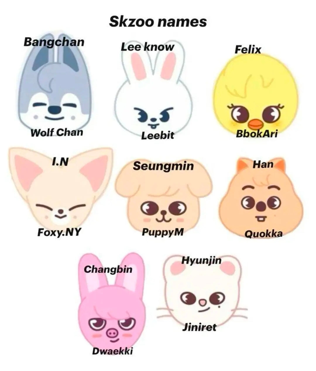 PINS STRAY KIDS - SKZOO