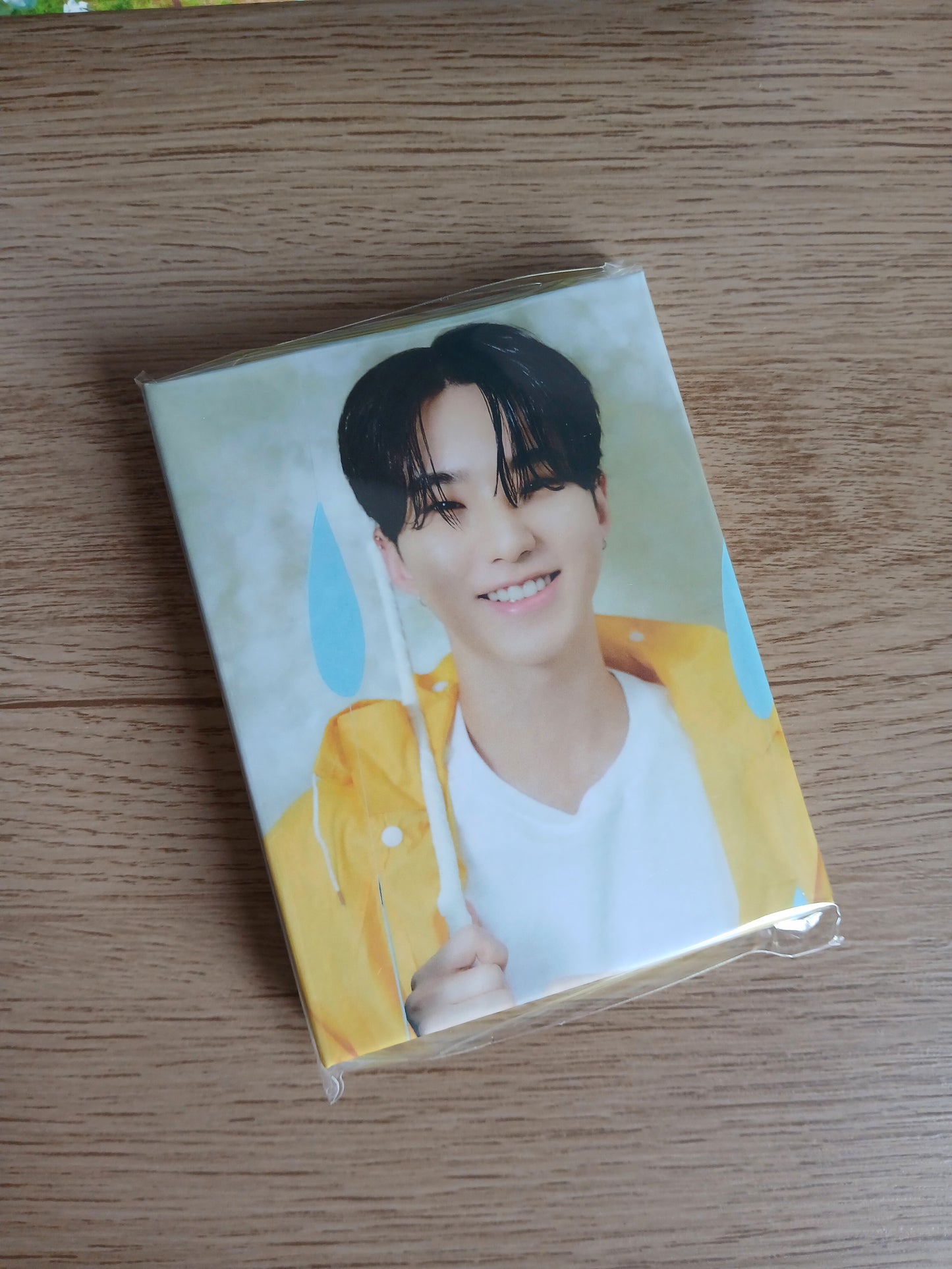 SEVENTEEN - SEVENTEENTH HEAVEN (11th Mini Album) CARAT ver fotos