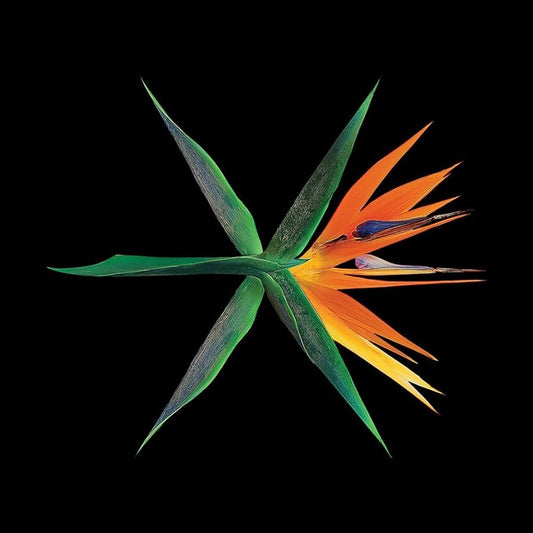 EXO - The War (4th Album) CHINESE Ver.