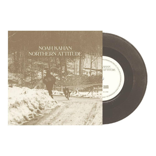 NOAH KAHAN - Northern Attitude VINILO