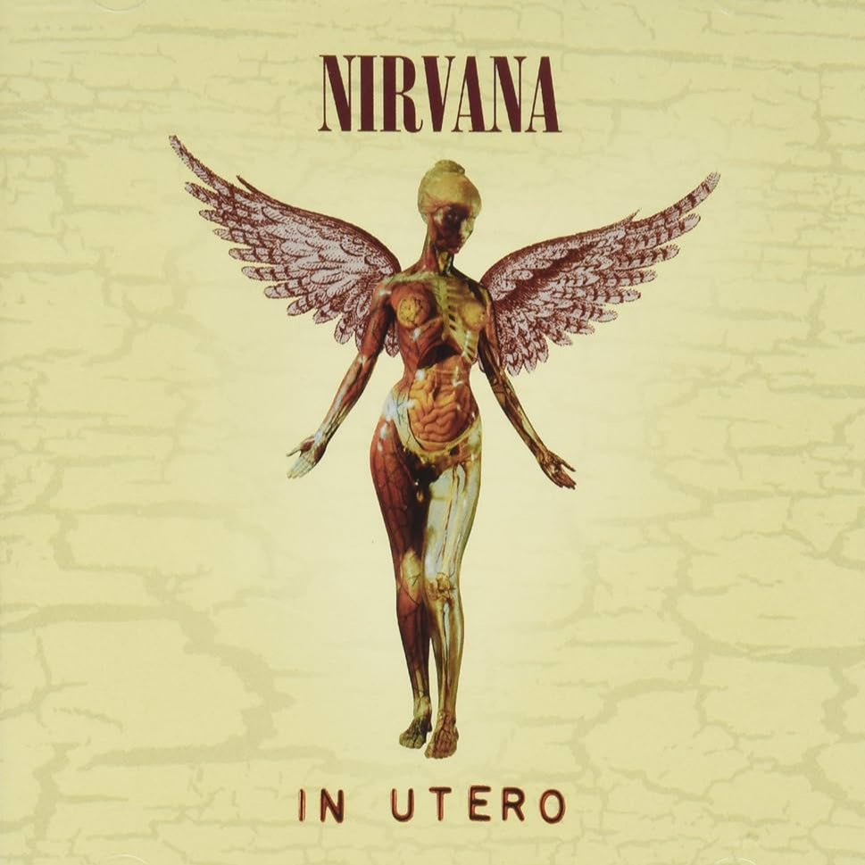 NIRVANA - In Utero (20th Anniversary) CD