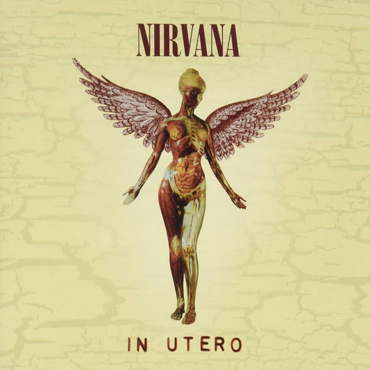 NIRVANA - In Utero (20th Anniversary) CD