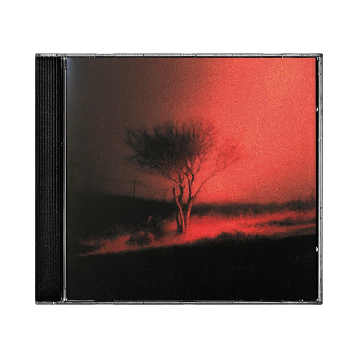JOJI - Piss In The Wind CD