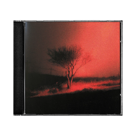 JOJI - Piss In The Wind CD