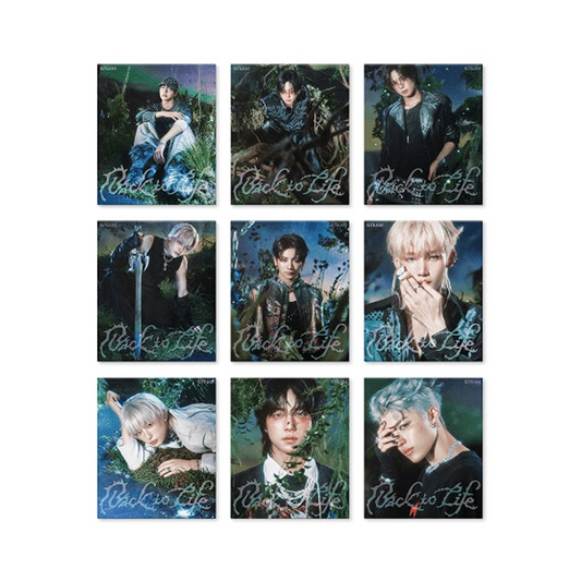 &TEAM - BACK TO LIFE (KR 1st Mini Album) ROAR Version