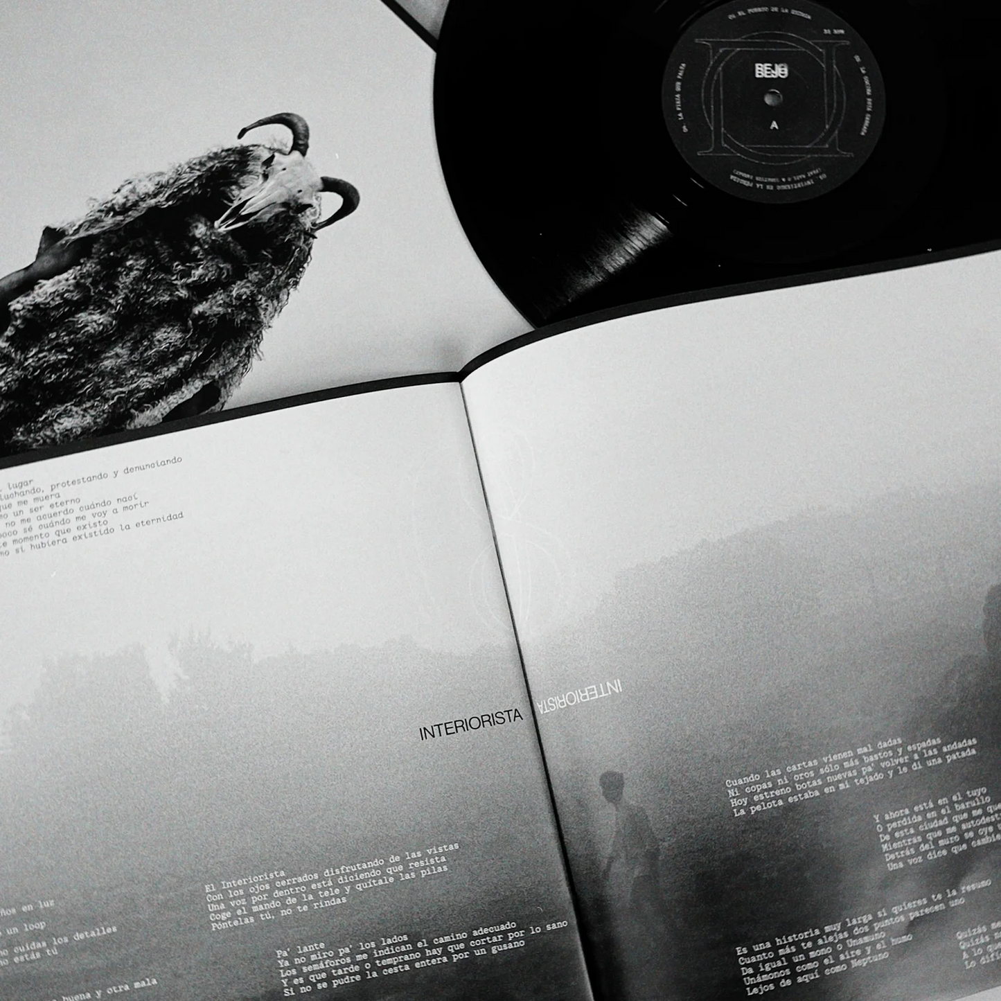 BEJO - El interiorista VINILO