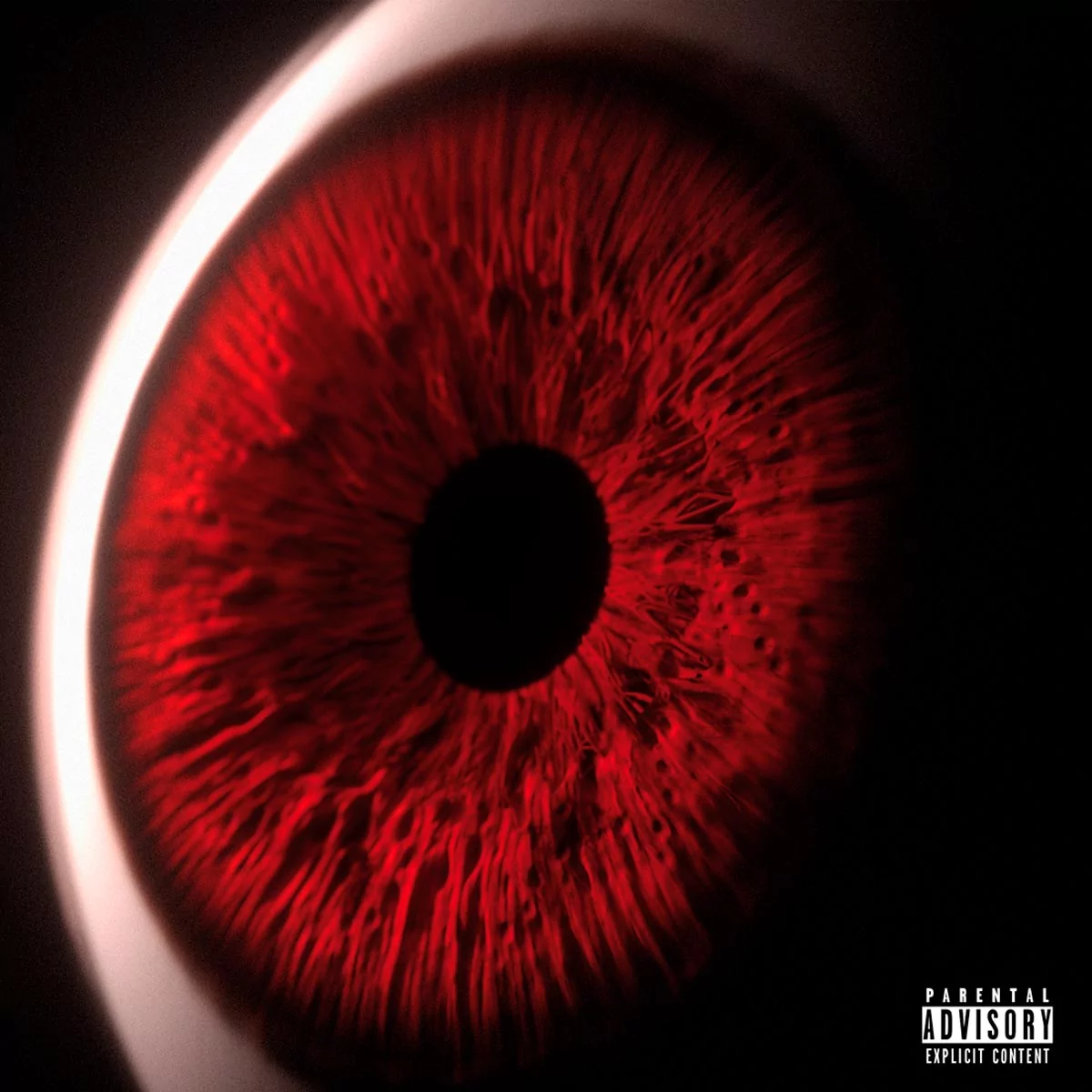 JUICY BAE - PTSD VINILO