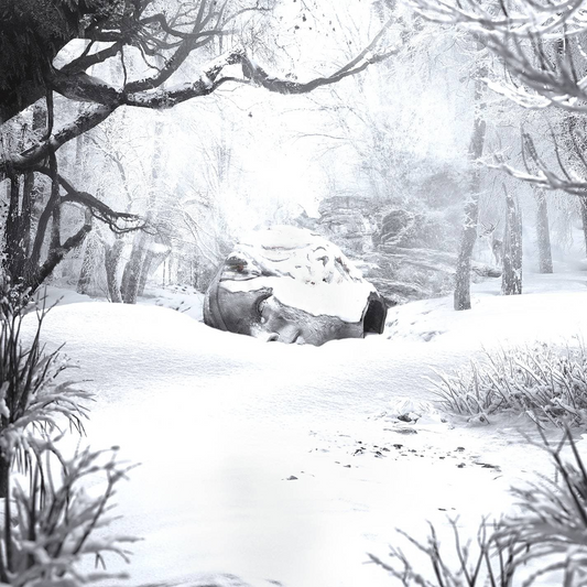 WEEZER - SZNZ: Winter CD