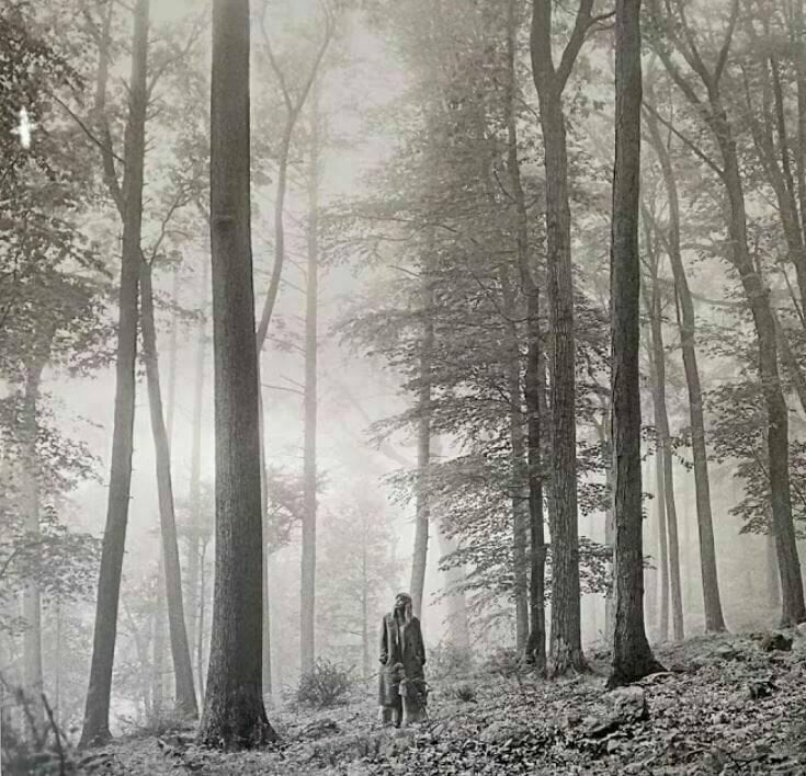 TAYLOR SWIFT - Folklore VINILO Deluxe