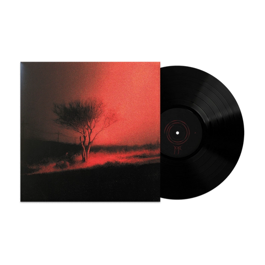 JOJI - Piss In The Wind VINILO