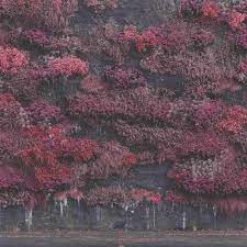 SLEEP TOKEN - Even in Arcadia CD