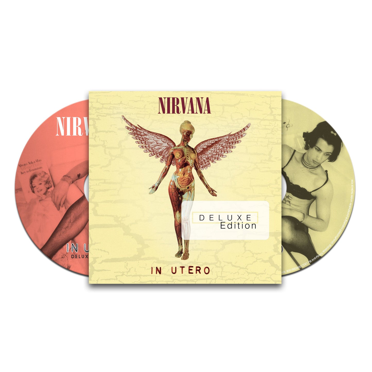 NIRVANA - In Utero (20th Anniversary) CD