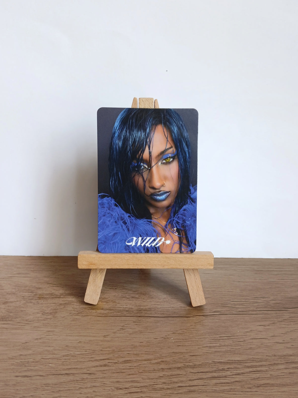 KATSEYE - Wild Photocards Imanes APPLE MUSIC POB