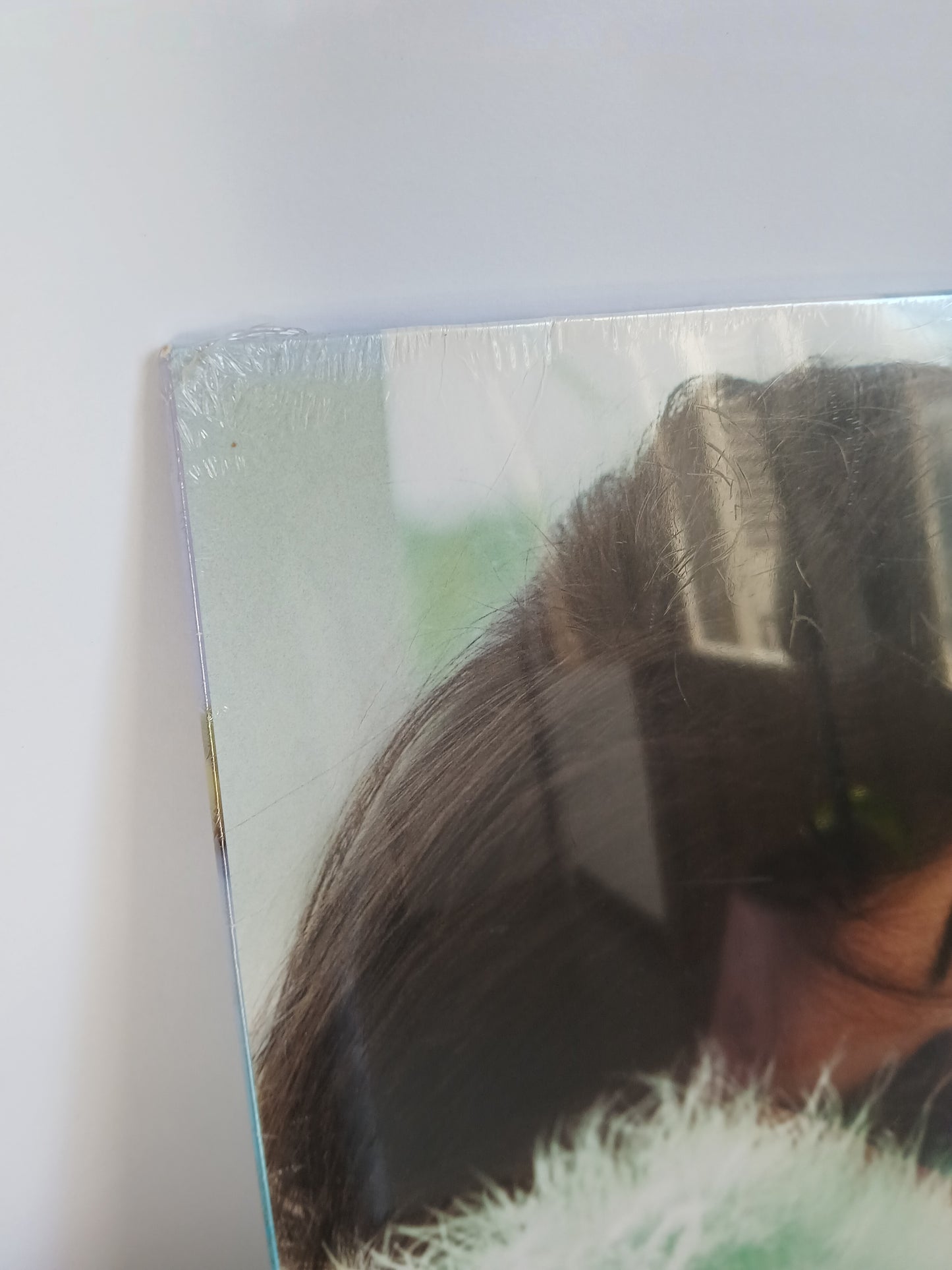 CAMILA CABELLO - Familia VINILO (Walmart Exclusive) ver fotos