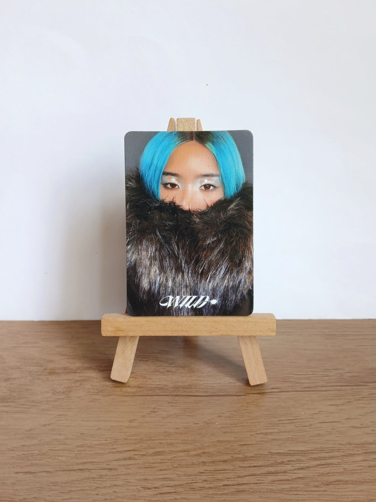 KATSEYE - Wild Photocards Imanes APPLE MUSIC POB