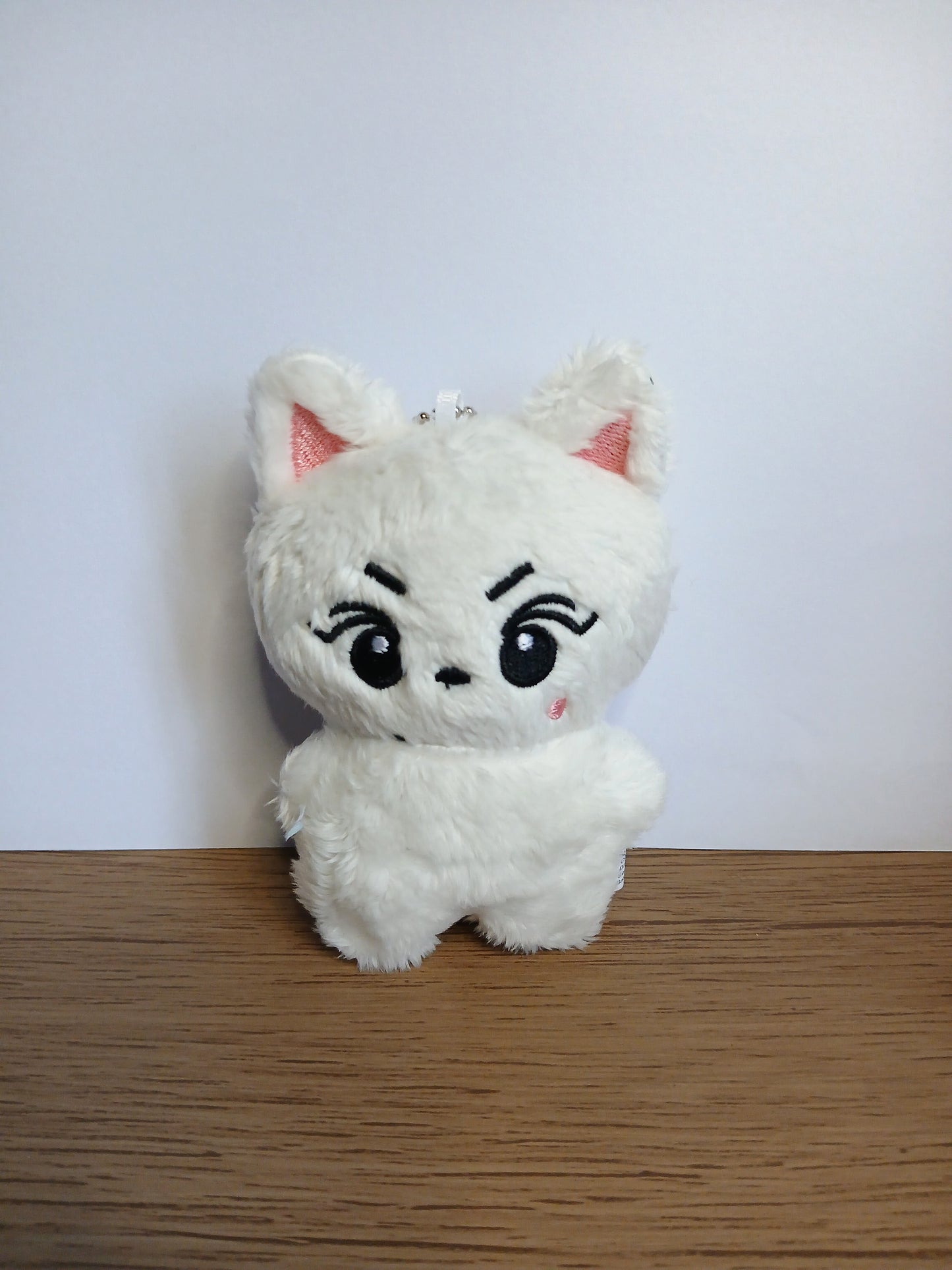 LLAVEROS ENHYPEN Plushies
