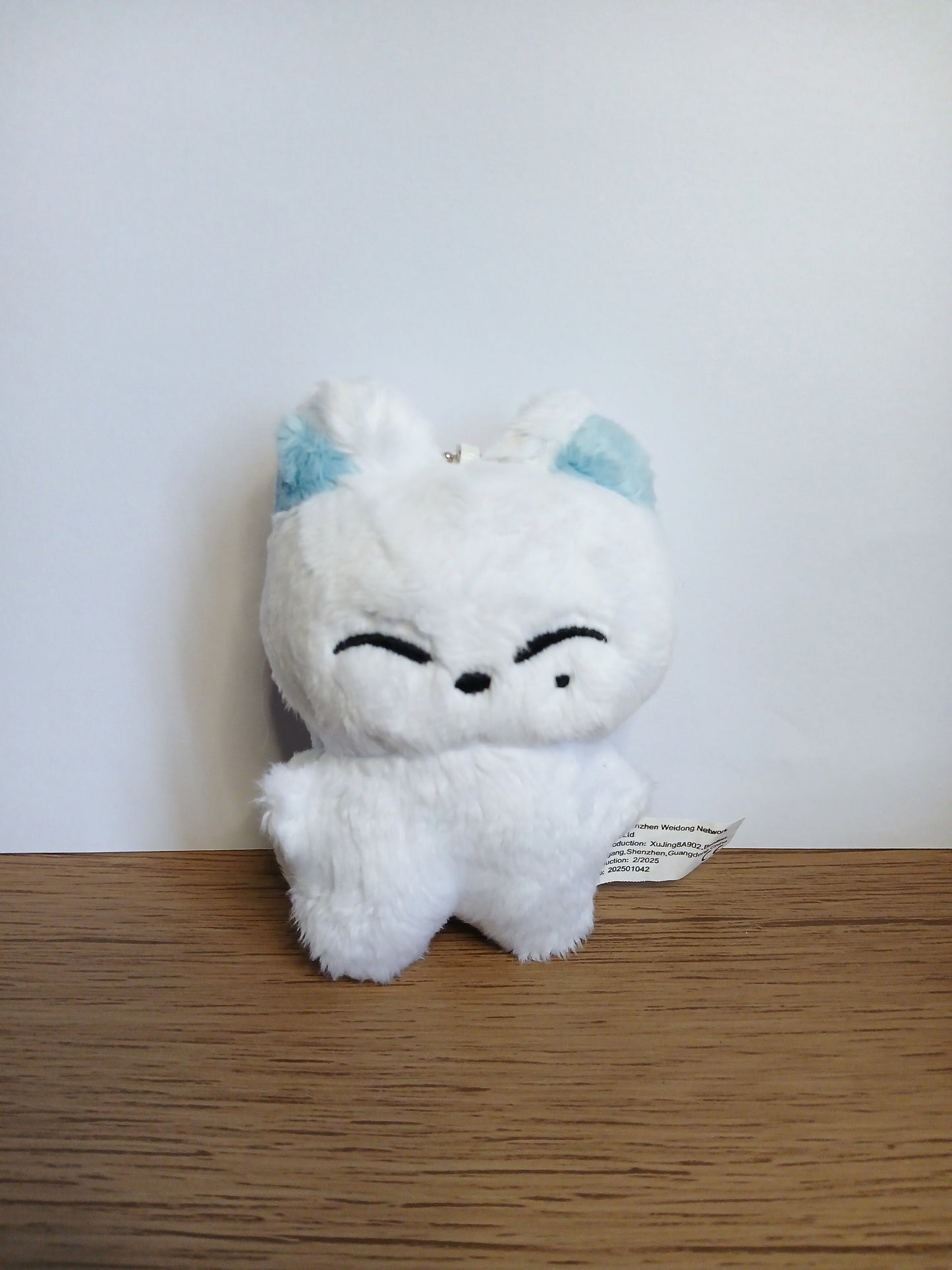LLAVEROS ENHYPEN Plushies