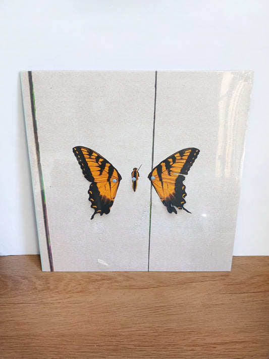 PARAMORE - Brand new eyes VINILO