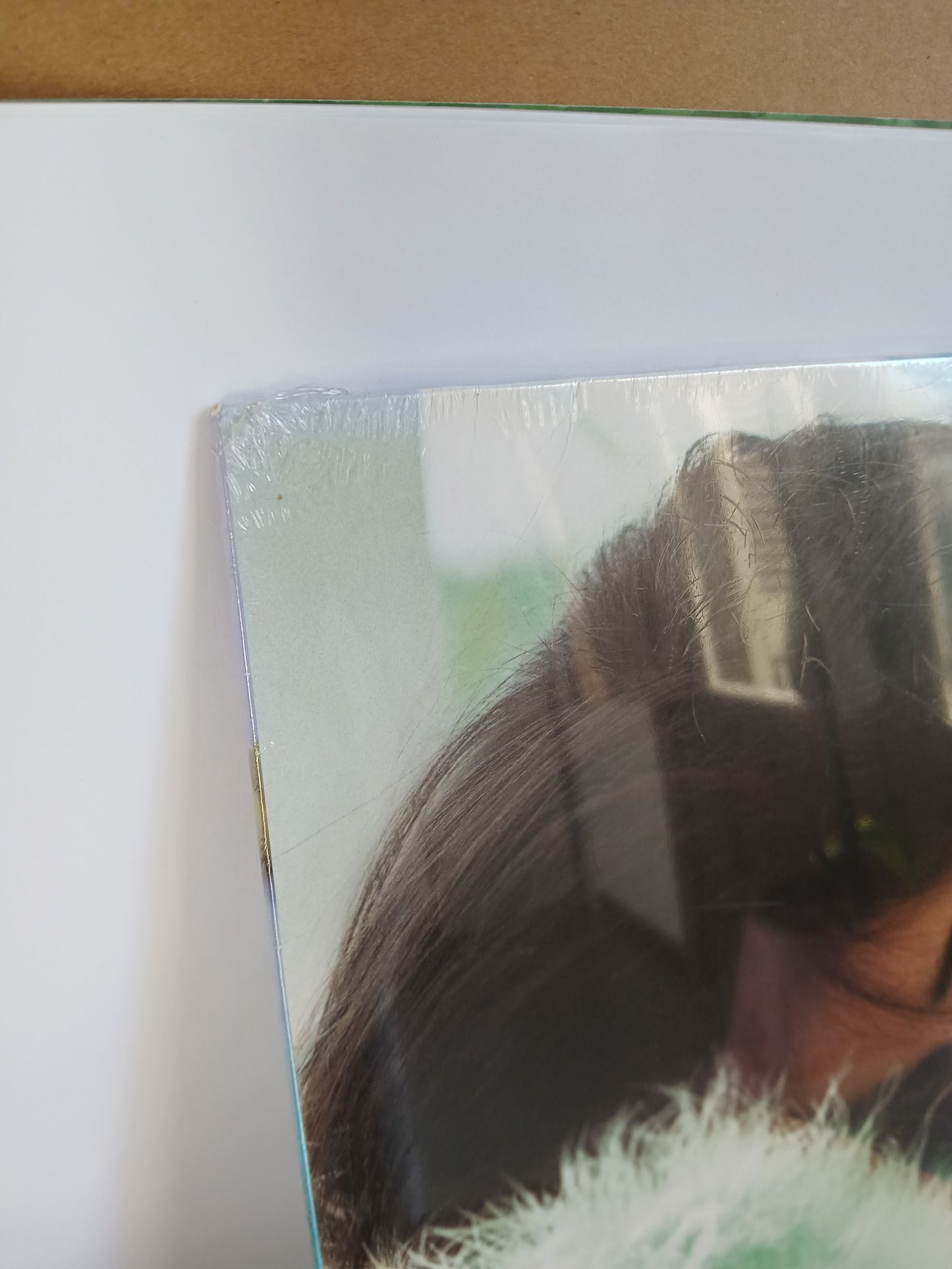 CAMILA CABELLO - Familia VINILO (Walmart Exclusive) ver fotos